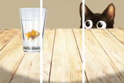 GIF speed in Photoshop