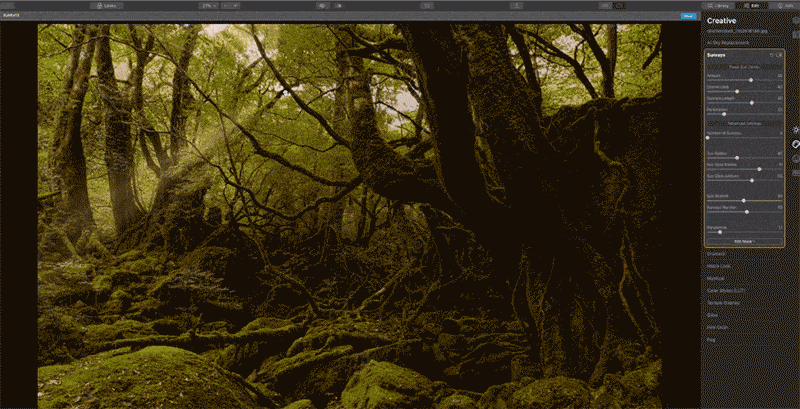 alternatives to lightroom - apps with effects filters and batch management features for raw images and image processing