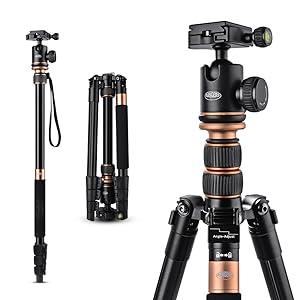 shk2-table__image