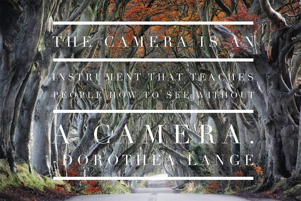 free photographer quotes