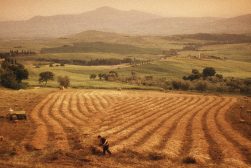 a man is plowing a field with a tractor.
