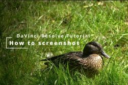 A duck in the grass with the words davini resolve tutorial how to screenshot.