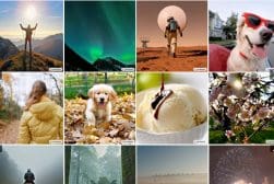A collage of images of people and animals.