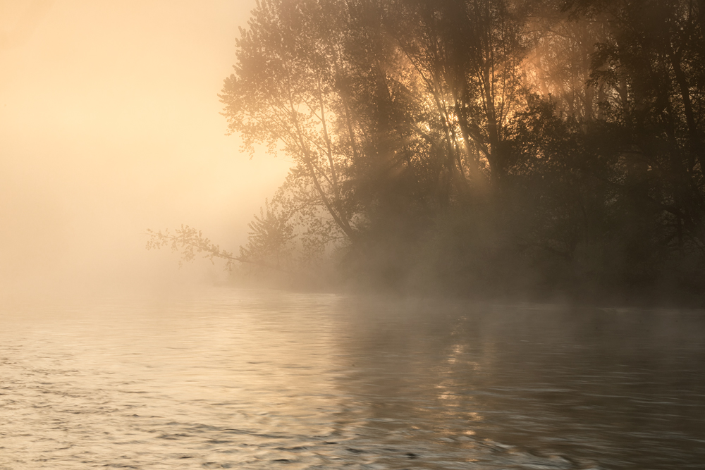 The water is foggy.