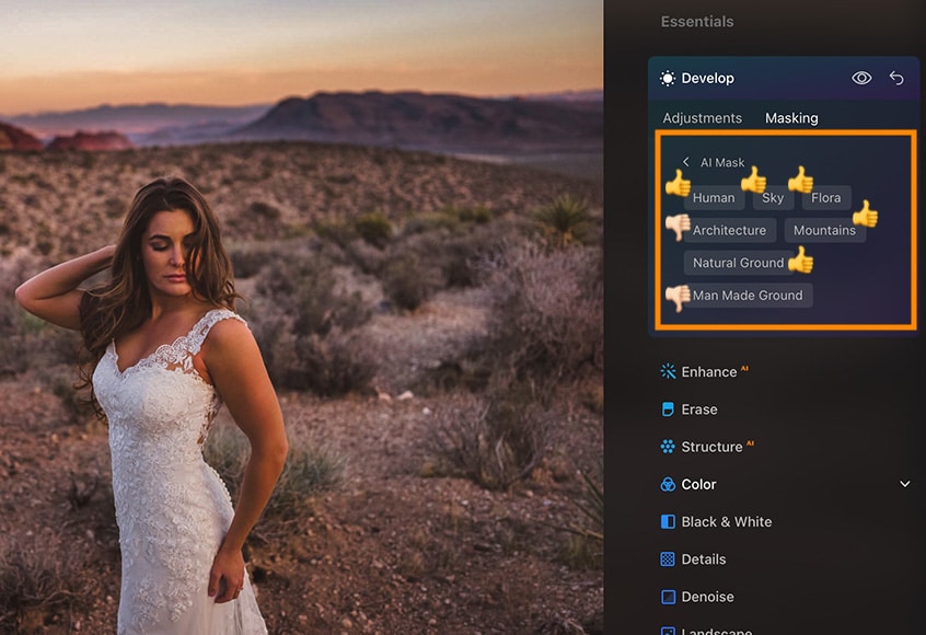 AI masking function finding subjects in a photo