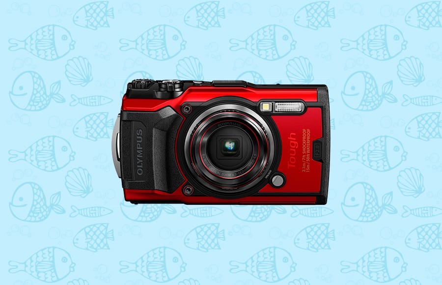 a red camera sitting on top of a blue background.
