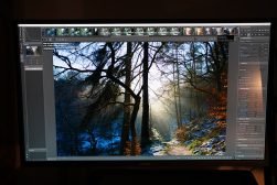 An image in Edit mode using Rawtherapee