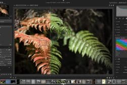 Darktable update 4.6.0