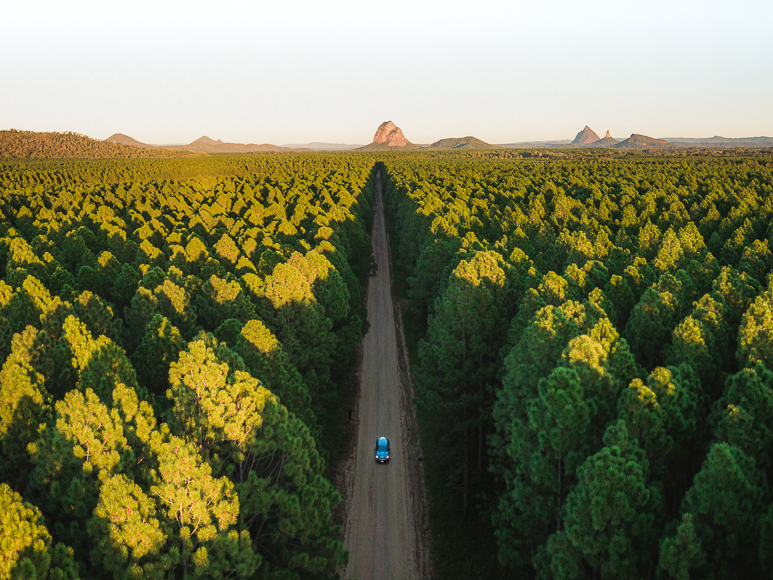 A blue car driving down a dirt road in a forest.