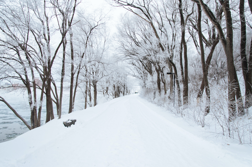 snow-photography