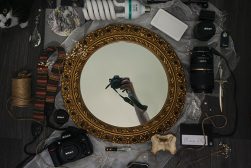 A cat sits in front of a mirror.