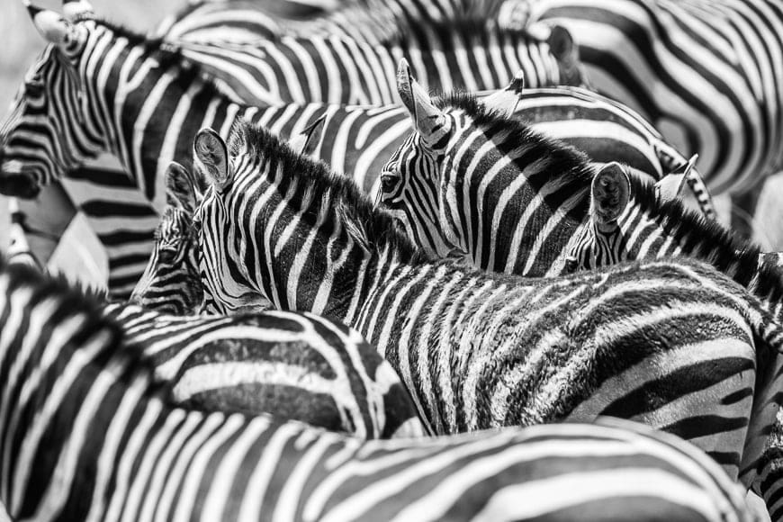 Capturing a subject in black and white is one of the different types of photography.