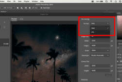 A photo in adobe photoshop with a palm tree in the background.